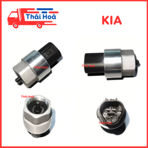 Cảm biến công tơ mét, sâu công tơ mét kia